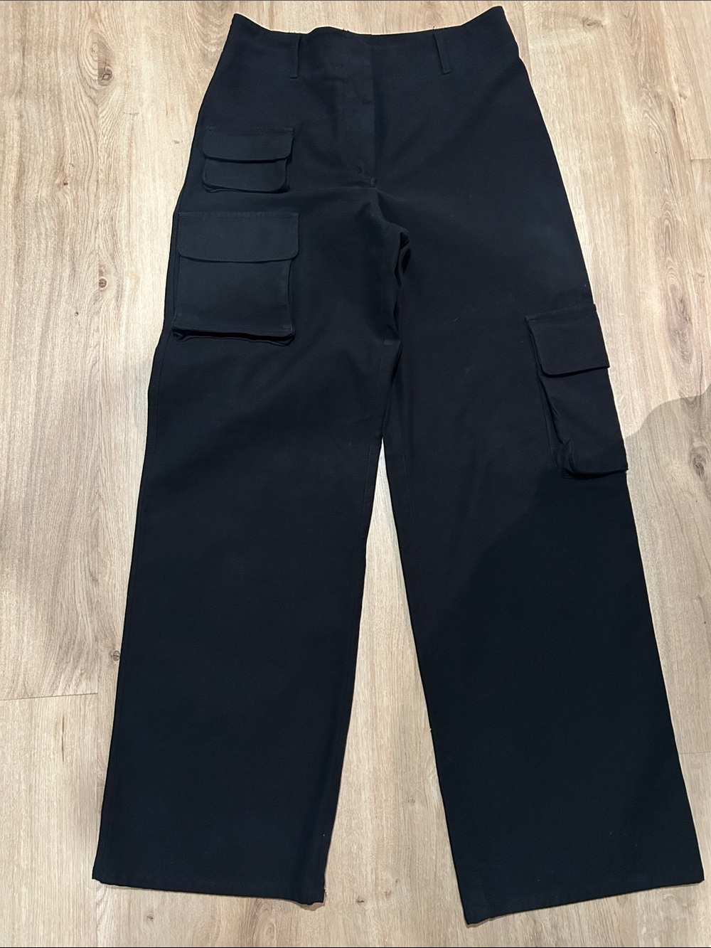 Aritzia Black Picture Cargo Pants